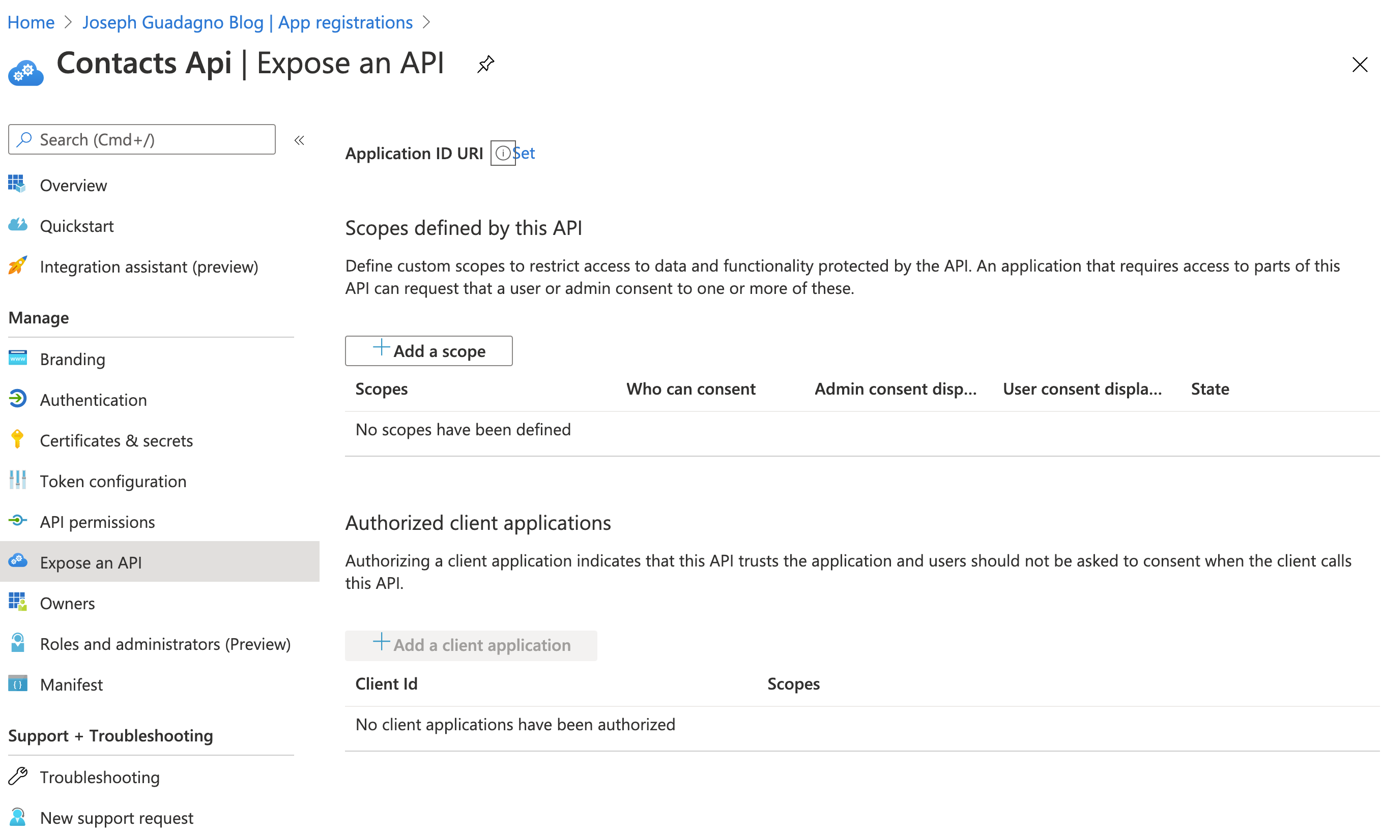 Protect an Api - Expose an Api